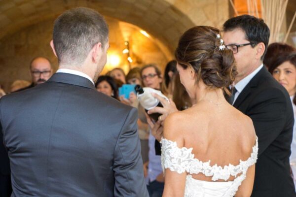 8wedding-1024x683